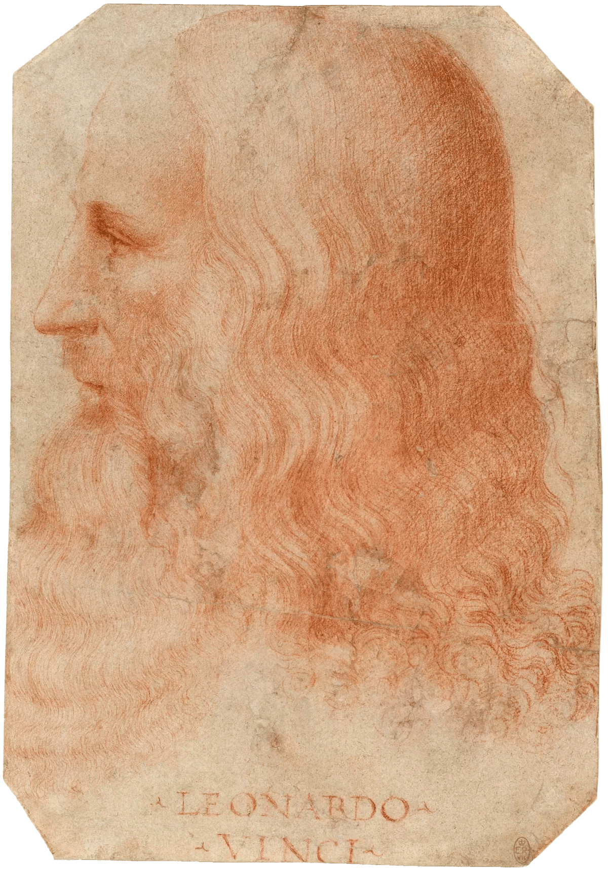 Francesco Melzi - Portrait of Leonardo