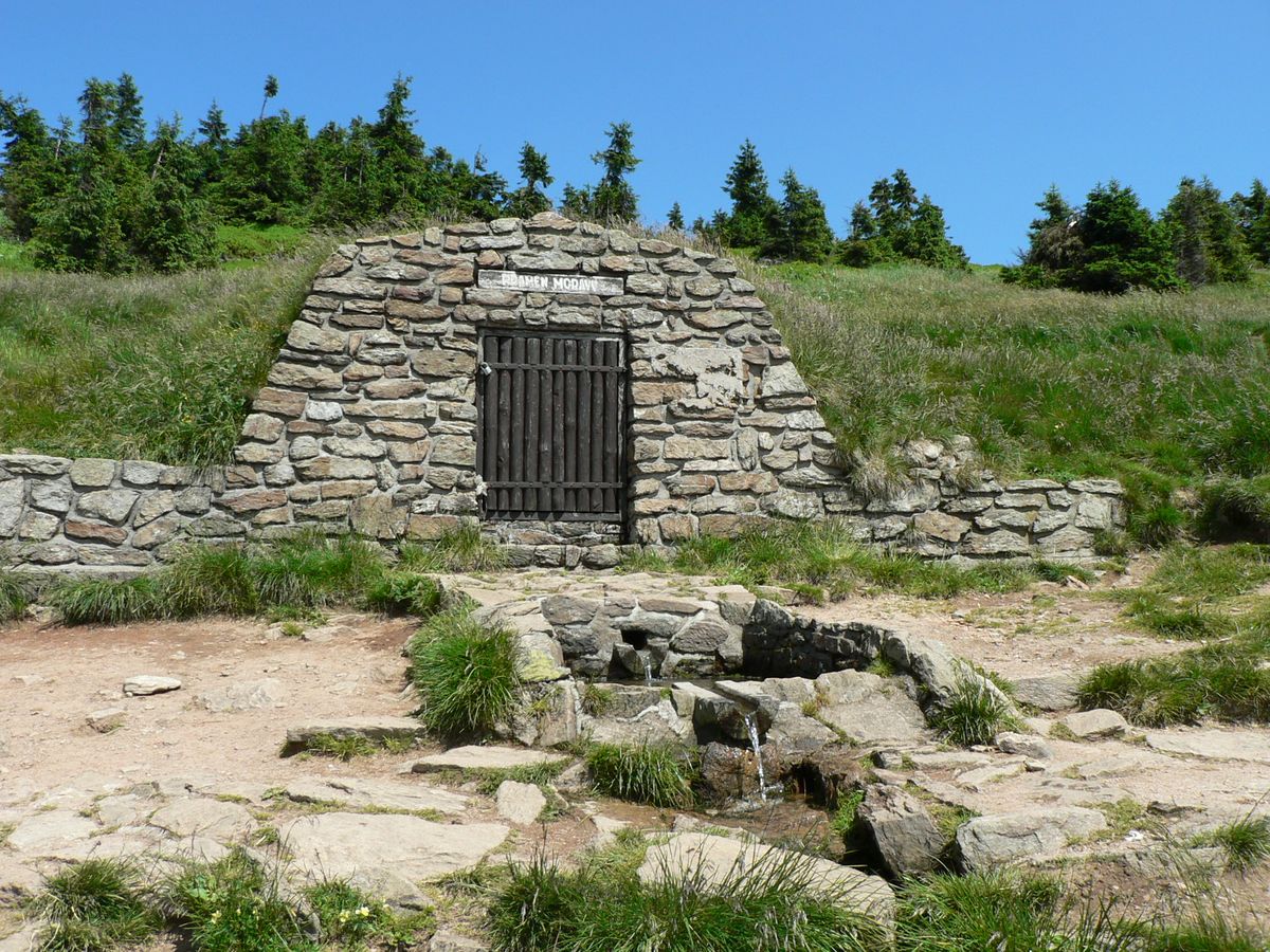 Pramen Moravy pod vrcholem Kralického Sněžníku