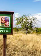 Co se plazí v Podyjí: Vycházka do hadího království