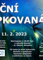 Noční šipkovaná