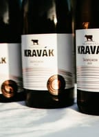 Křest Šaldorfských Kraváků   !!!POZOR – AKCE ZRUŠENA!!!