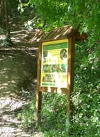Krumlovská 36