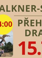 Přehlídka dravců v Merlinově farmě