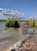 Jezero Medard