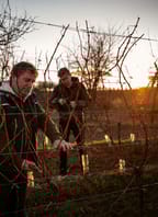 Vinařství Víno Drábek