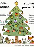 Zdobení vánočního stromečku pro zvířátka