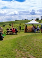 Putování vinicemi za víny VOC