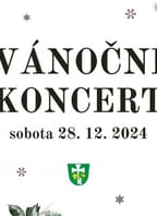 Vánoční koncert v Petrovicích