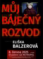 Geraldine Aron: Můj báječný rozvod