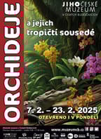 Orchideje a jejich tropičtí sousedé