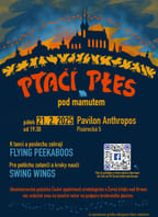 Ptačí ples