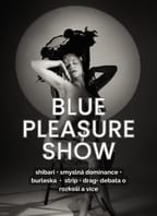 Blue Pleasure show