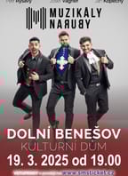 Muzikály Naruby