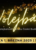 Volejbál 2025