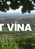 Košt vína – Traplice