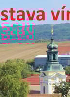 Tradiční výstava vín Čejkovice