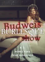 Budweis burlesque show
