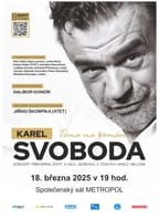 Karel Svoboda: Téma na román