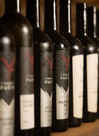 Sobotní degustace ve Vinařství Fučík