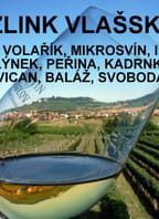 Degustace Ryzlinku vlašského II.