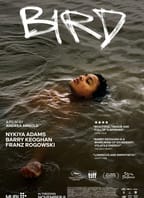 TADY VARY:  Ptáče