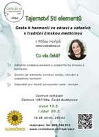 TAJEMSTVÍ 5 ELEMENTŮ – CESTA ke ZDRAVÍ a HARMONII