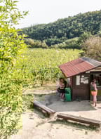 Zahájení Vinařského turistického programu Znovínu Znojmo