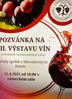 Výstava vín v Miroslavských Knínicích