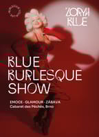 Blue Burlesque Show