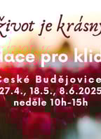 Proces životní integrace – konstelace
