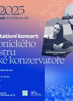 Koncert Symfonického orchestru