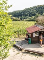 Zahájení Vinařského turistického programu Znovínu Znojmo