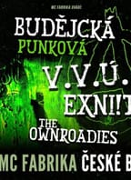 BUDĚJCKÁ PUNKOVÁ