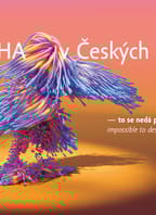 TANEC PRAHA 2025 v Českých Budějovicích