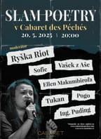Slam poetry exhibice