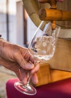 Svatomartinská a mladá vína