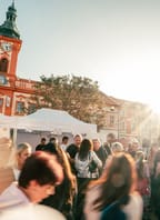 Rakovnický festival vína