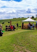 Putování vinicemi za víny VOC