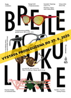 Brejle a okuliare