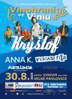Vinohraní ve Viniu