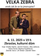 VELKÁ ZEBRA aneb Jak že se to jmenujete?