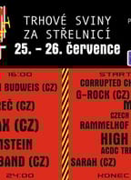 MM SVINY FEST