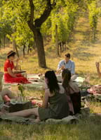 Letní piknik ve vinici