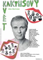 Kaktusový květ – Háta