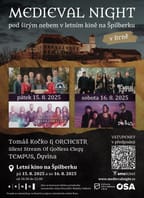 Medieval Night