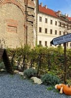 Hudba na vinicích v Kutné Hoře – Jelen