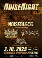 Noisenight VII