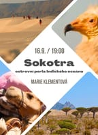 Sokotra: ostrovní perla Indického oceánu