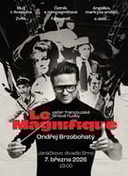 Ondřej Brzobohatý – LE MAGNIFIQUE