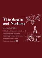 Vinobraní pod Nechory